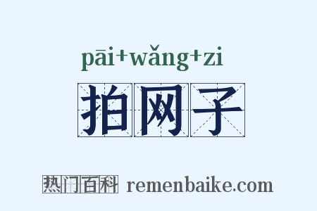 拍网子是什么意思的图片